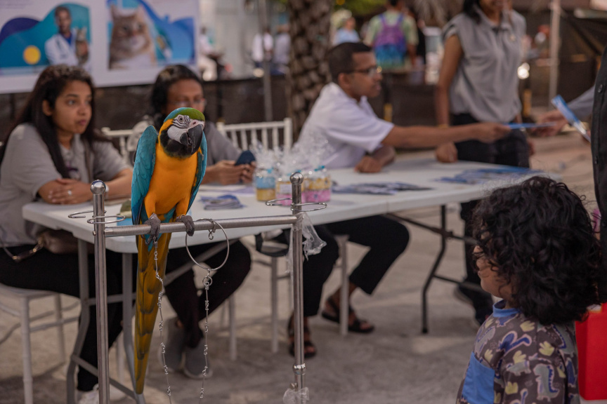 ބައިނަލްއަގުވާމީ ޖަނަވާރުގެ ދުވަސް ފާހަގަކުރުމަށް ބޭއްވި ފެއާގެ ތެރެއިން: އެ ފެއާގައި އެކި މީހުންގެ އޮޅު ޖަނަވާރުތައް ދައްކާލައިފައިވޭ -- ސަން ފޮޓޯ/ އަމަން ލަތީފް