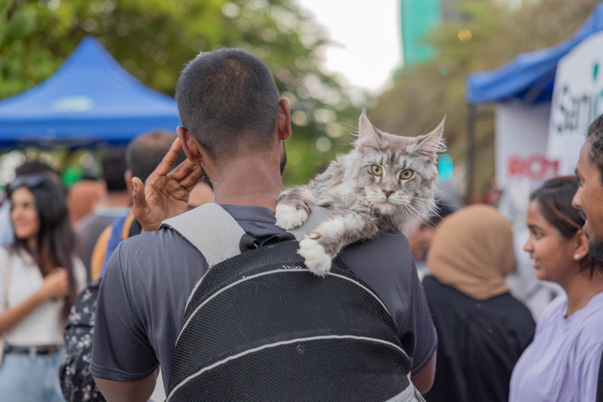ބައިނަލްއަގުވާމީ ޖަނަވާރުގެ ދުވަސް ފާހަގަކުރުމަށް ބޭއްވި ފެއާގެ ތެރެއިން: އެ ފެއާގައި އެކި މީހުންގެ އޮޅު ޖަނަވާރުތައް ދައްކާލައިފައިވޭ -- ސަން ފޮޓޯ/ އަމަން ލަތީފް