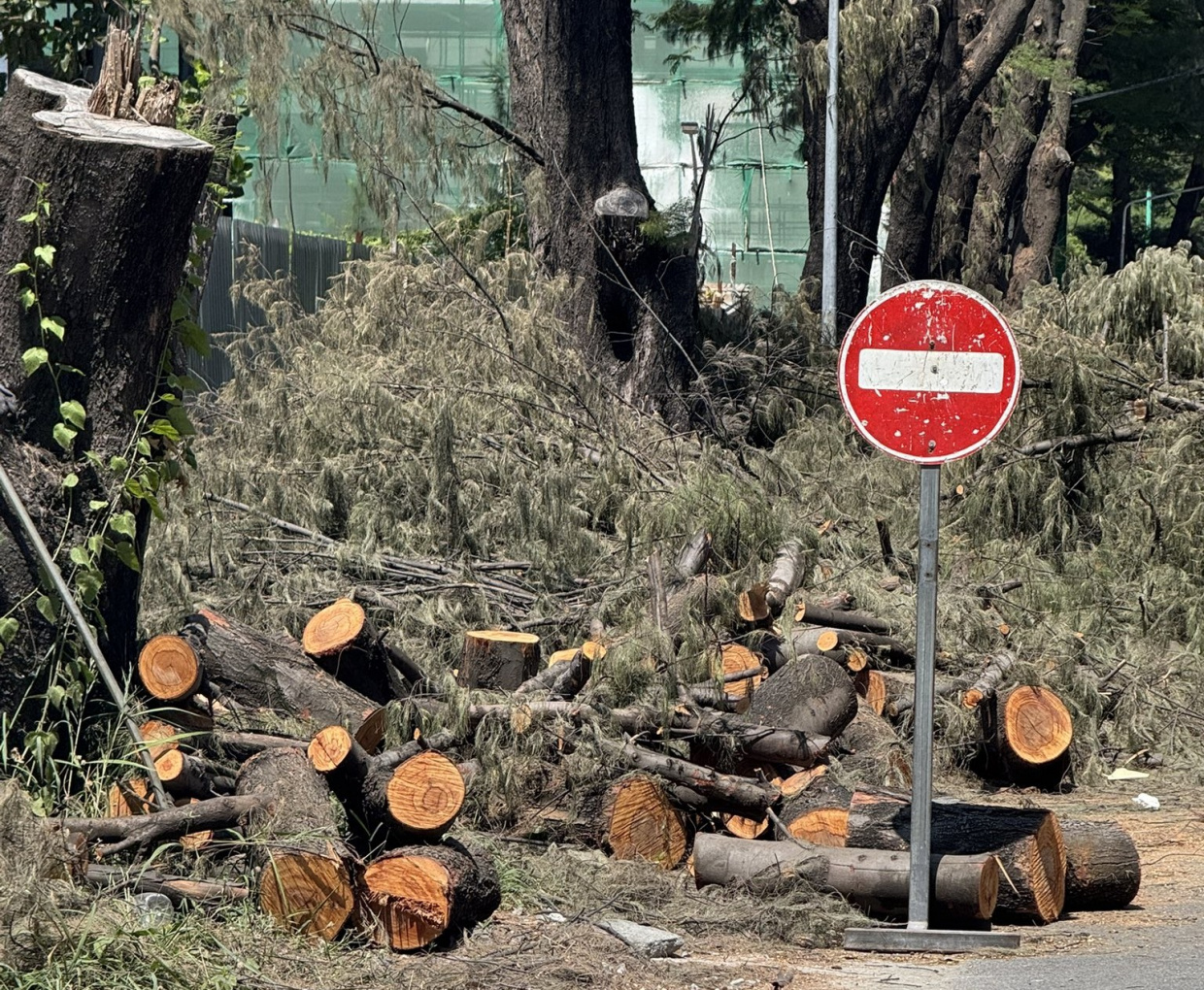 Baeh fithuroanu gasthah Hulhumale in kandanee, imaaraiy kurumah dhathivaathee: HDC