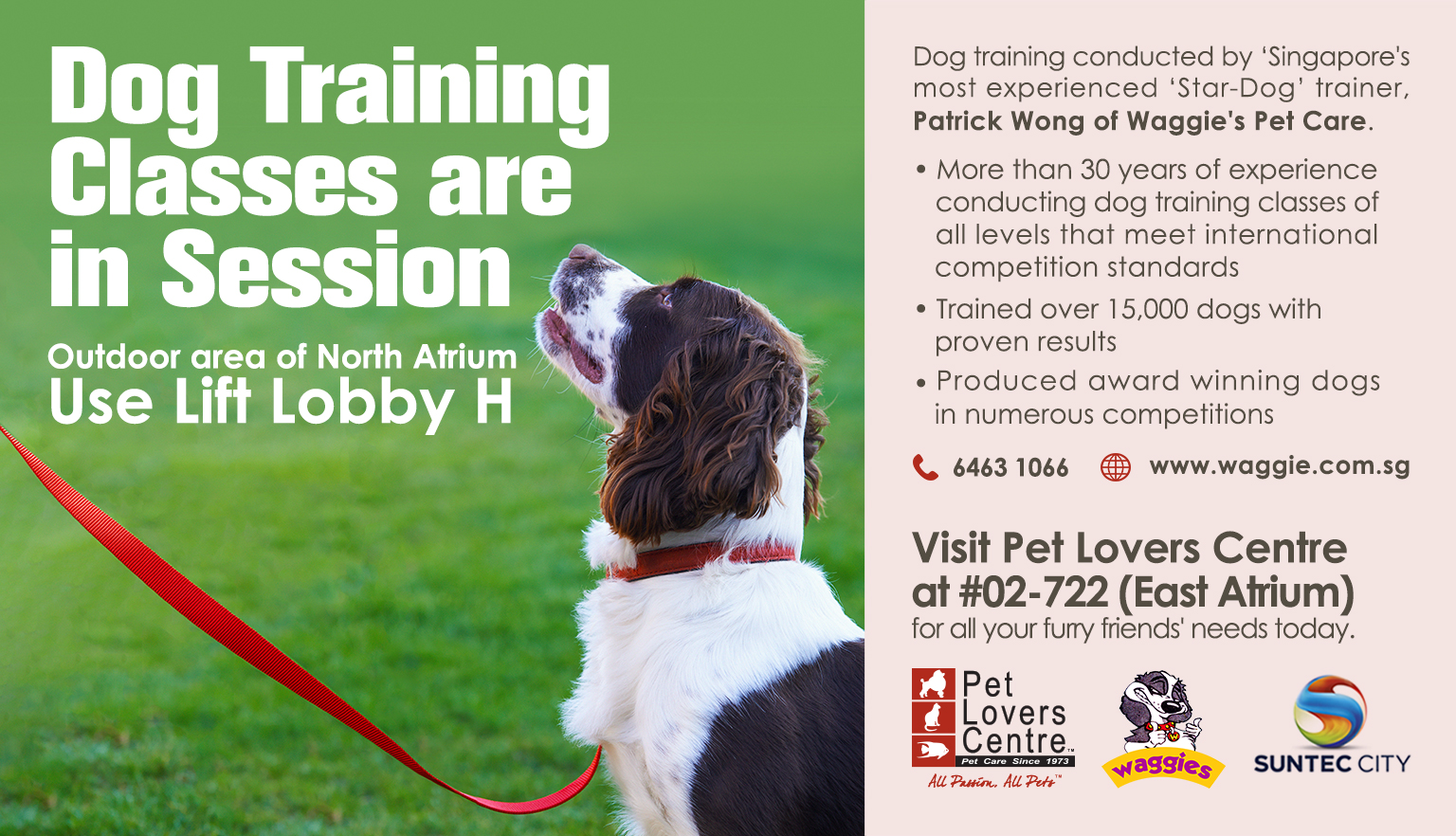 Dog Training Penang Dog Training Penang