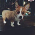 Alice - N/A Instagram influencer profile picture