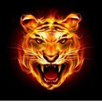 smotra.ru Riga😈😈 - N/A Instagram influencer profile picture