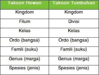 Urutan Tingkatan Takson Dari Yang Tertinggi Sampai