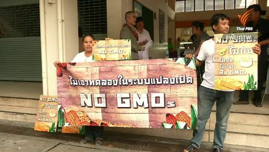 มูลนิธิชีววิถี-องค์กรเครือข่ายนัดรวมตัวค้านร่าง ก.ม.จีเอ็มโอ 9 ธ.ค.นี้