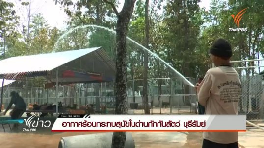อากาศร้อนกระทบสุนัขในด่านกักกันสัตว์ บุรีรัมย์