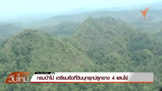 กรมป่าไม้เตรียมยึดที่ดินบุกรุกปลูกยางพารา 400,000 ไร่