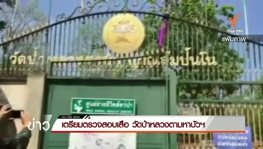 กรมอุทยานฯ เตรียมรับมอบเสือของกลางวัดป่าหลวงตามหาบัว 24 เม.ย.นี้