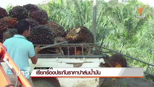 เรียกร้องประกันราคาปาล์มน้ำมันกิโลกรัมละ 5 บาท