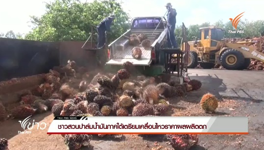 ชาวสวนปาล์มน้ำมันภาคใต้เตรียมเคลื่อนไหวราคาผลผลิตตก