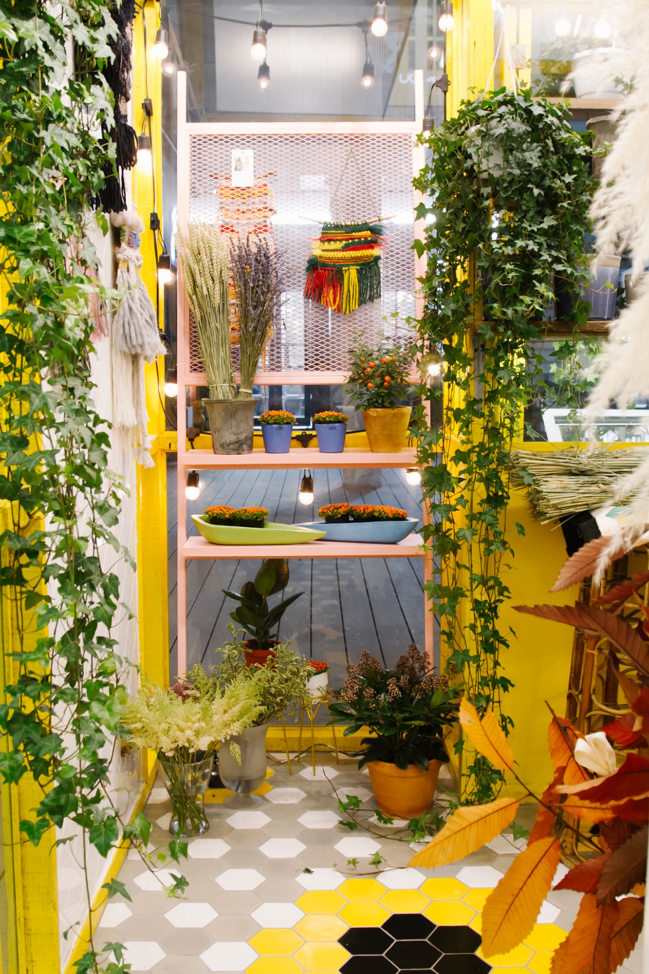 Plant House