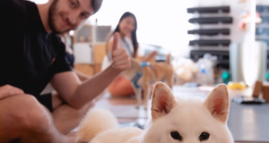 Dog Yoga Class — Happiness Therapy with Papillon Yoga Studio, PetsTeamHK (Jun - Sep 2025)
