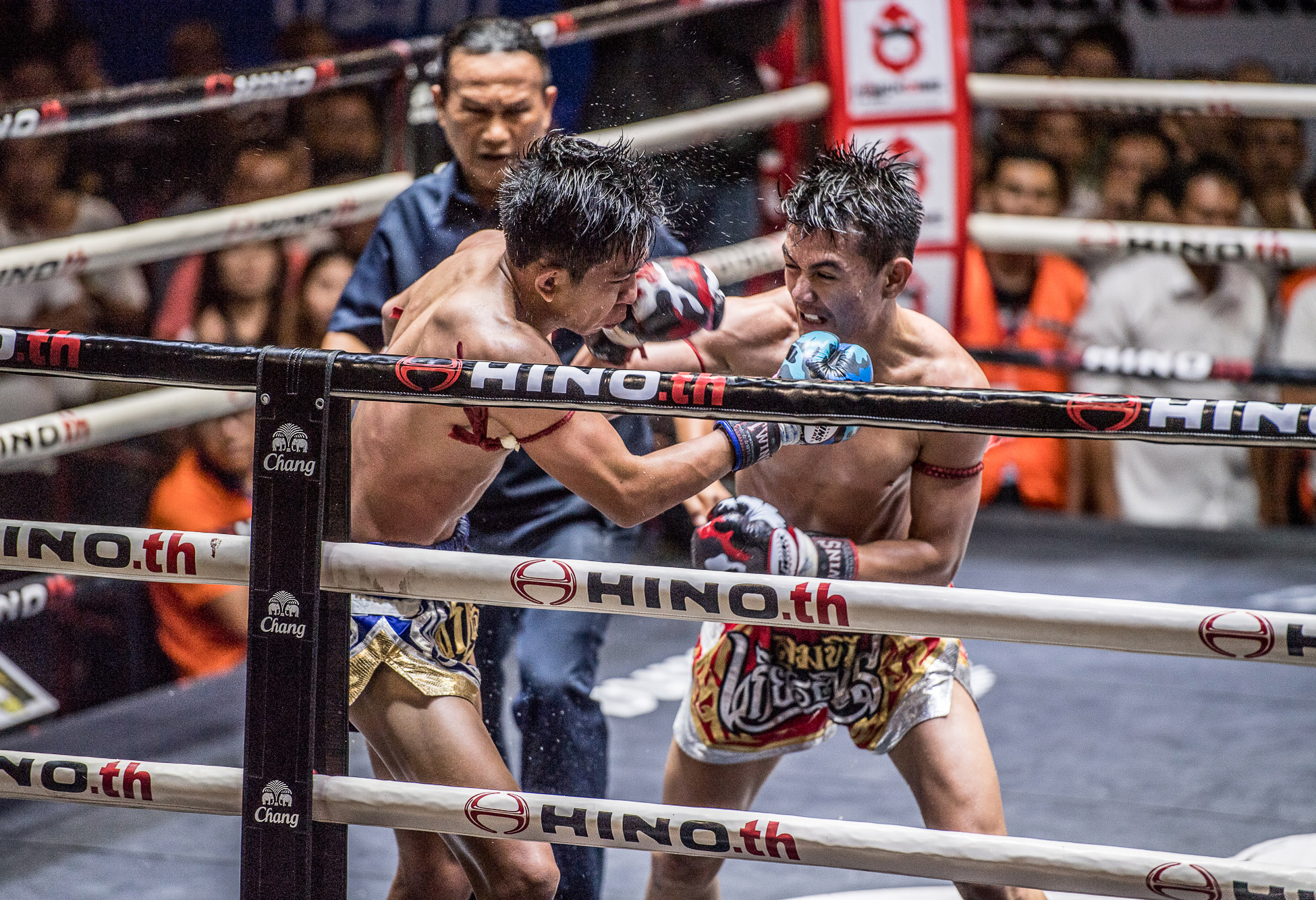 main-card-starts-around-8-00pm