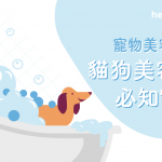 【 寵物美容 Q&A】貓狗美容 護理必知7件事