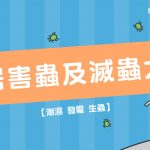 【潮濕發霉生蟲】家居害蟲及滅蟲大全