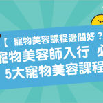 【 寵物美容課程邊間好？ 】寵物美容師入行 必讀 5大 寵物美容課程