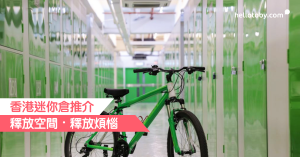 香港迷你倉, 香港迷你倉推介