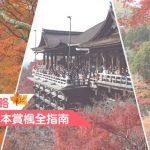 【2018日本紅葉攻略】楓葉秘景 日本賞楓全指南