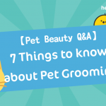 【 Pet Beauty Q & A】 7 Things to know about Pet Grooming
