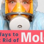 5 Ways to Get Rid of Mold