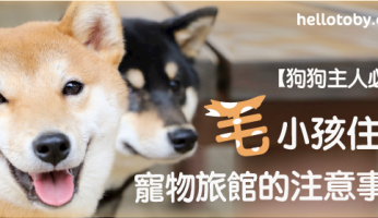 【狗狗主人必讀】毛小孩住宿 寵物旅館 的注意事項