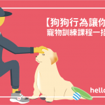 【狗狗行為讓你頭痛？】 寵物訓練 課程一招搞定