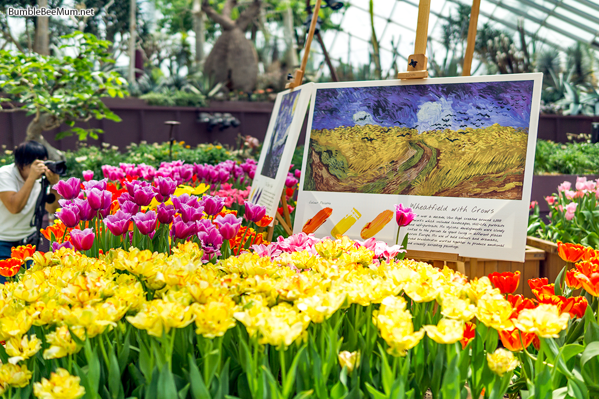 a mini art exhibition where pictures of some of van goghs famous works were displayed surrounded by tulips that were specially chosen to complement - Garden By The Bay Exhibition a mini art exhibition where pictures of some of van goghs famous works were displayed surrounded by tulips that were specially chosen to complement - Garden By The Bay Exhibition
