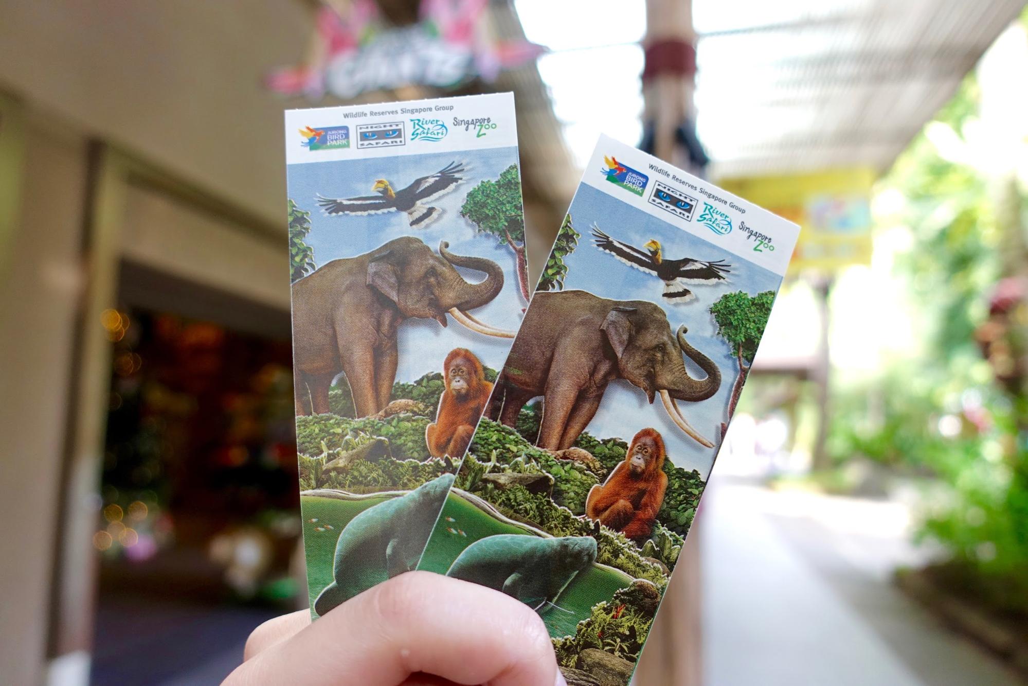 5 Hal Yang Kebun Binatang Singapura Lakukan Lebih Baik Dari Zoo Lain