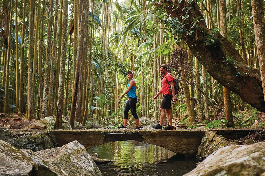 Trải nghiệm thú vị ở Gold Coast