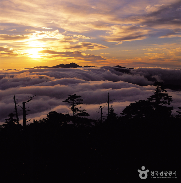 Jirisan National Park