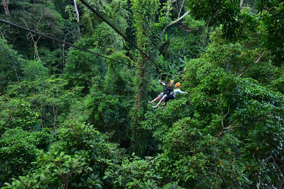 Flight of the Gibbon Zipline Chiang Mai