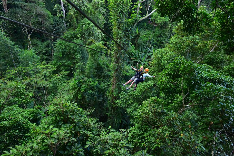 Chơi gì ở Chiang Mai? Gibbon Zipline 