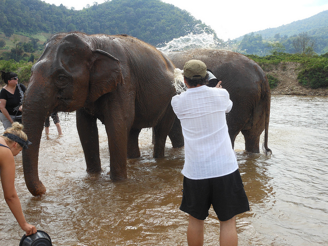 Blue Elephant Thailand Tours Chiang Mai