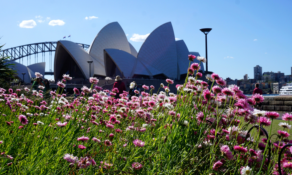 Sydney in Spring