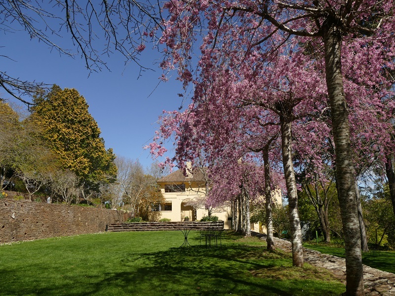 Spring florals at Everglades House in Leura, Blue Mountains