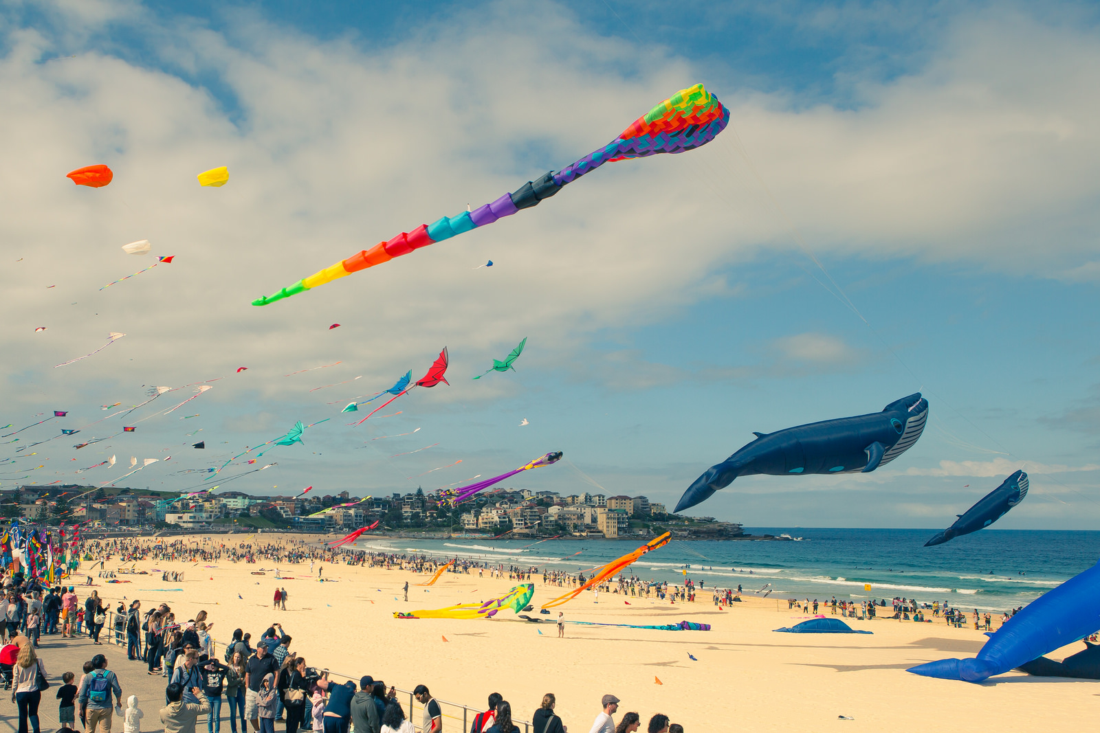 Festival of the Winds at Bondi, Sydney