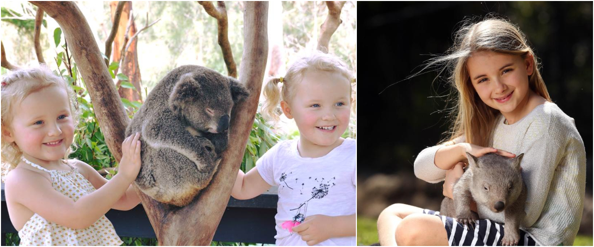 Baby animals at the Australian Reptile Park, Sydney