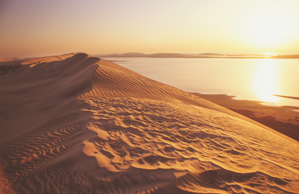 Dune bashing in Qatar's desert