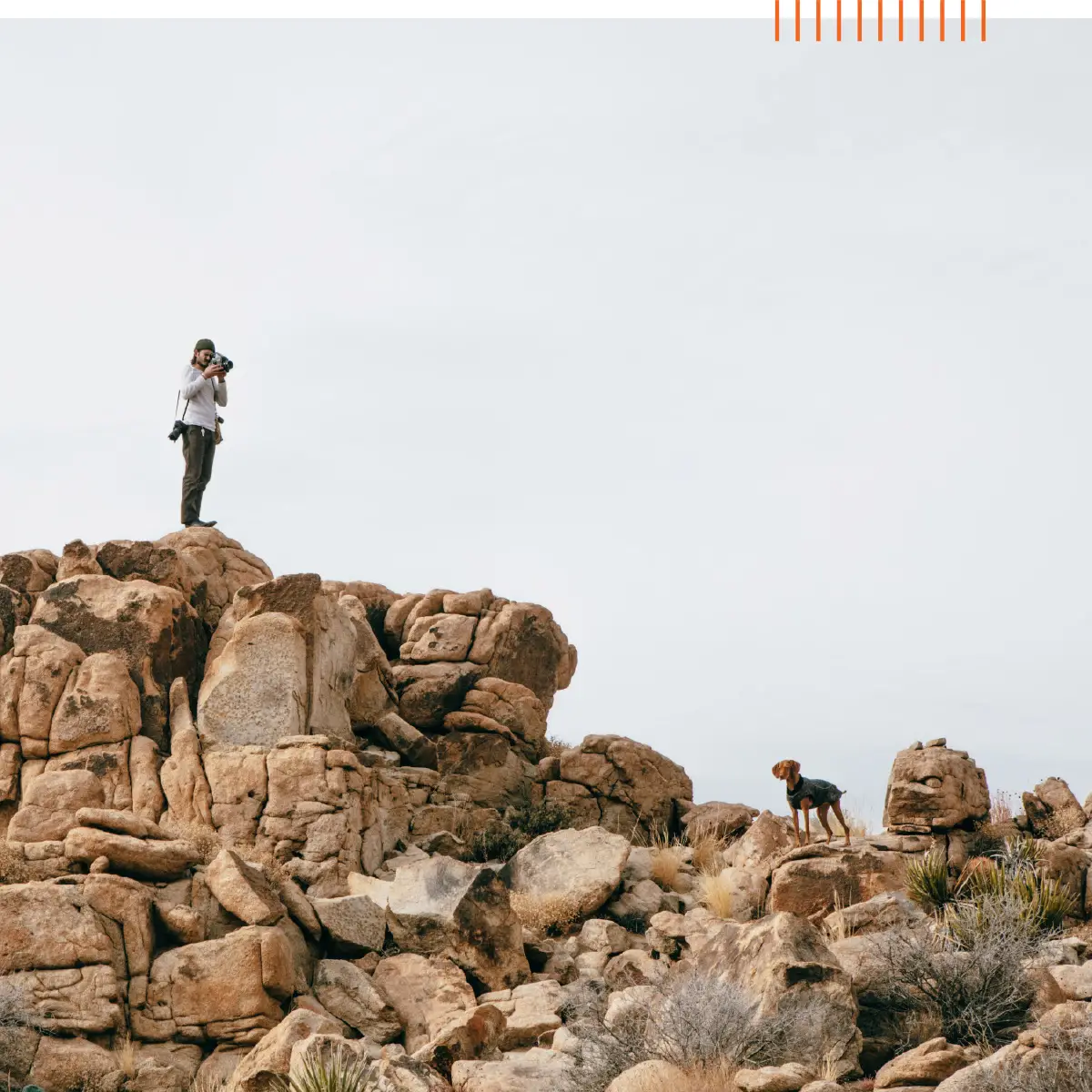 UAG ra mắt dòng THE OUTBACK SERIES - Ốp lưng có thể phân hủy 1 BIODEGRADABLE OUTBACK