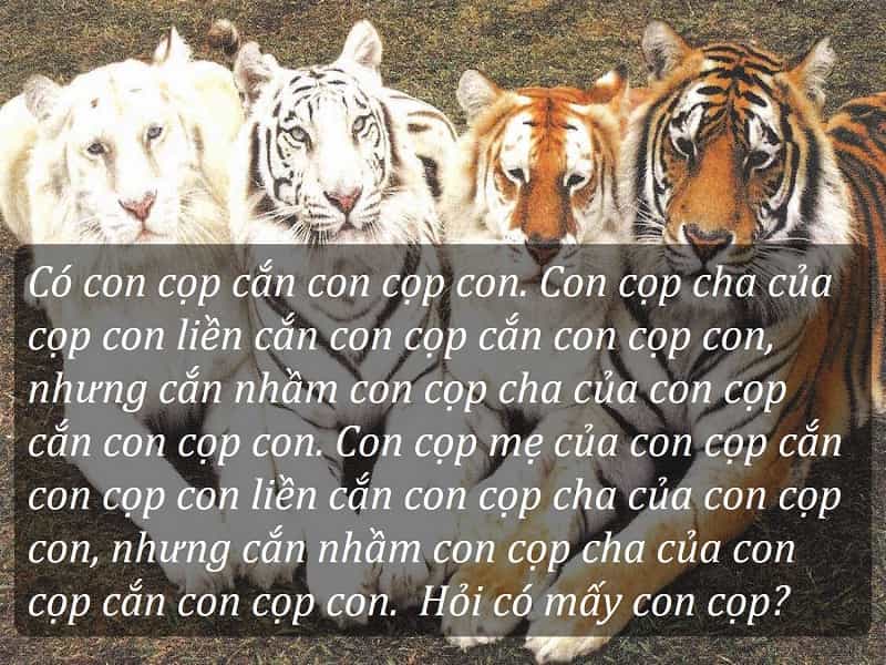 Nguồn: fususu.com