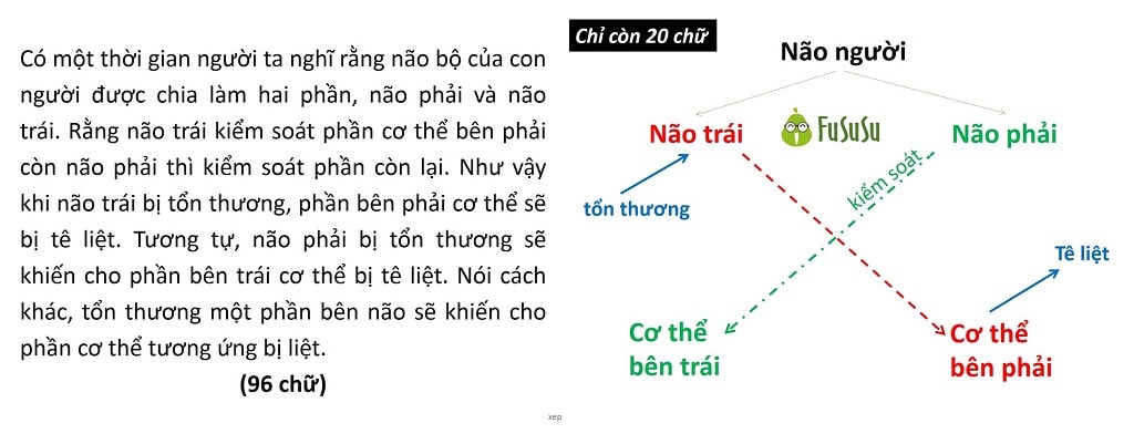 Nguồn: fususu.com