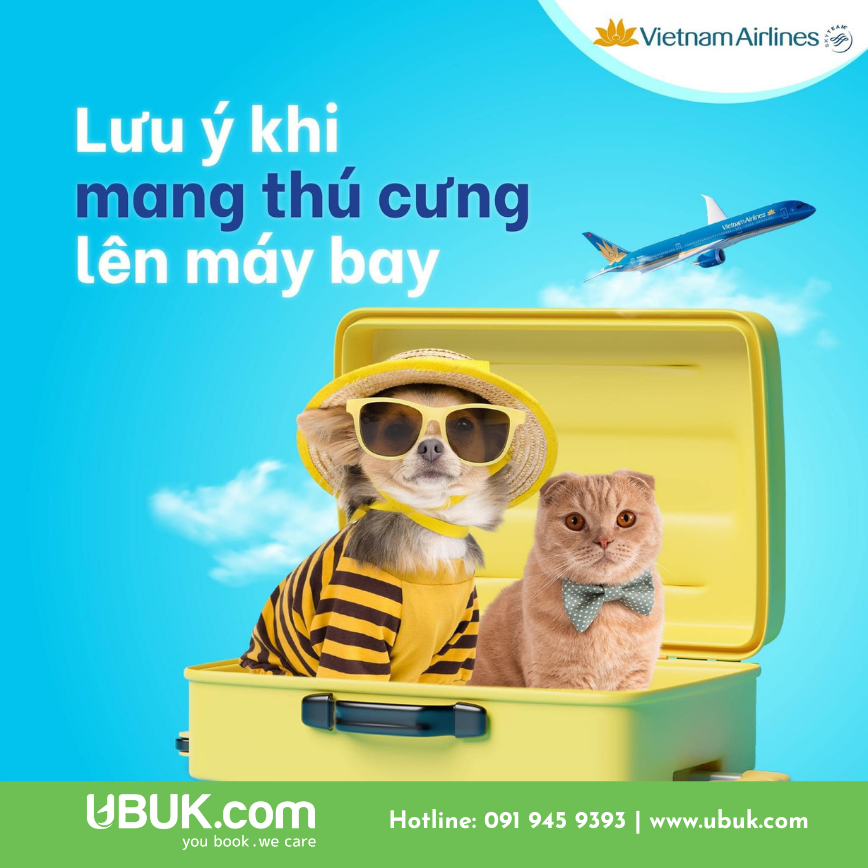 CÙNG THÚ CƯNG TRÊN NHỮNG CHUYẾN BAY, TẠI SAO KHÔNG?