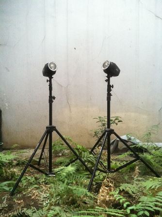 Menyewakan Lighting Tronic Jumbo Kit 100ws di toko Studio Lighting