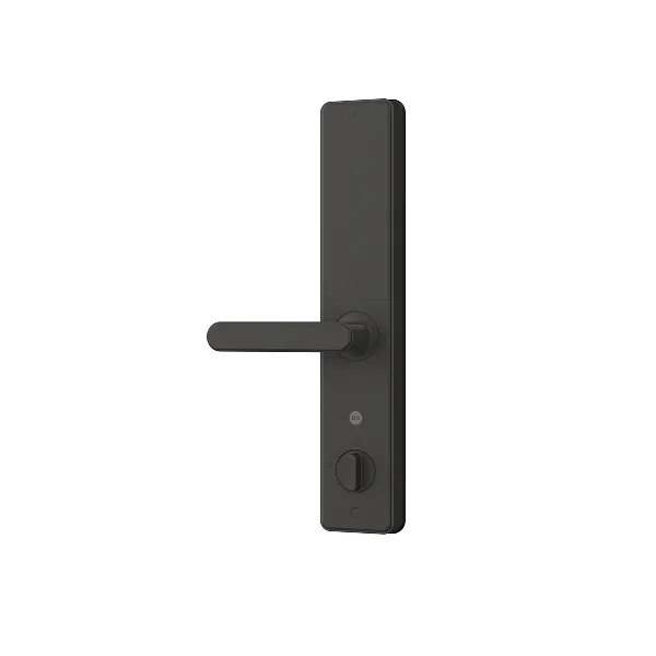 In the box with the Native Lock Pro: back panel.