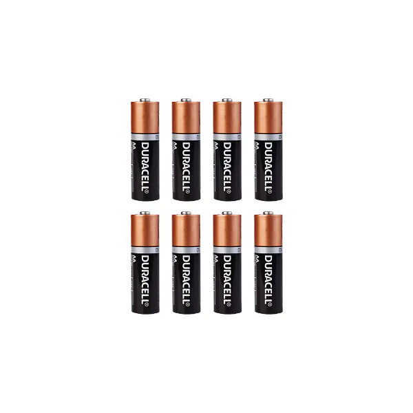 In the box with the Native Lock Pro: AA batteries.