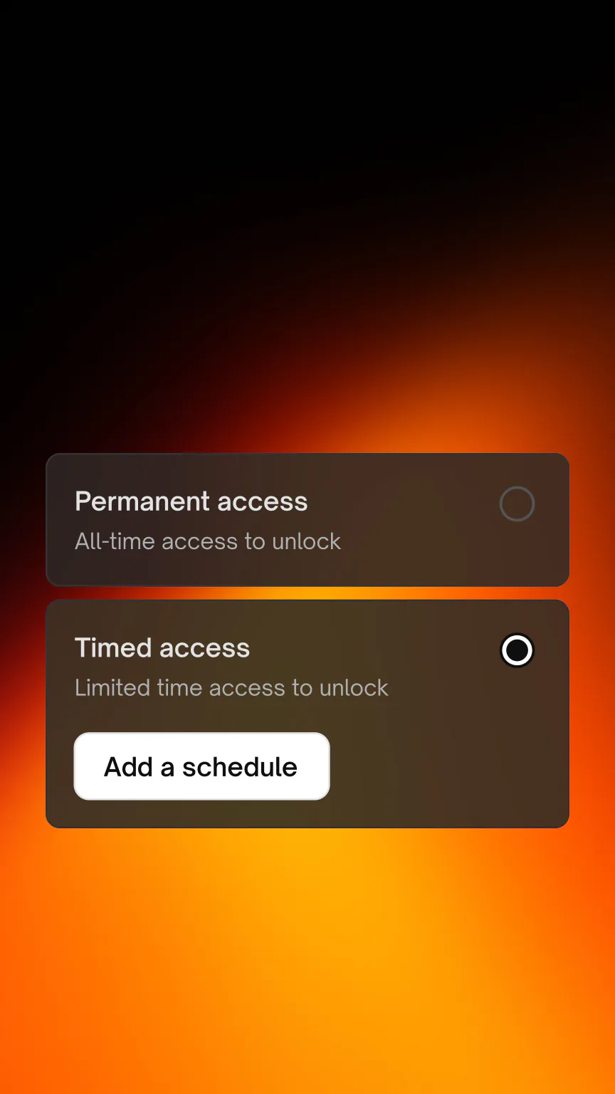 Native Lock Ultra: App · timed access.