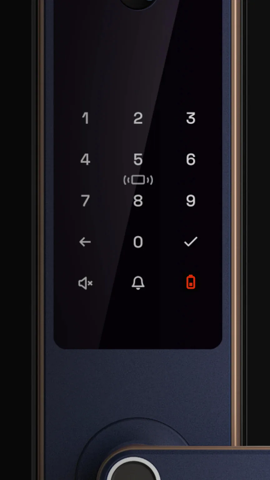 Native Lock Pro: Keypad with battery alert.