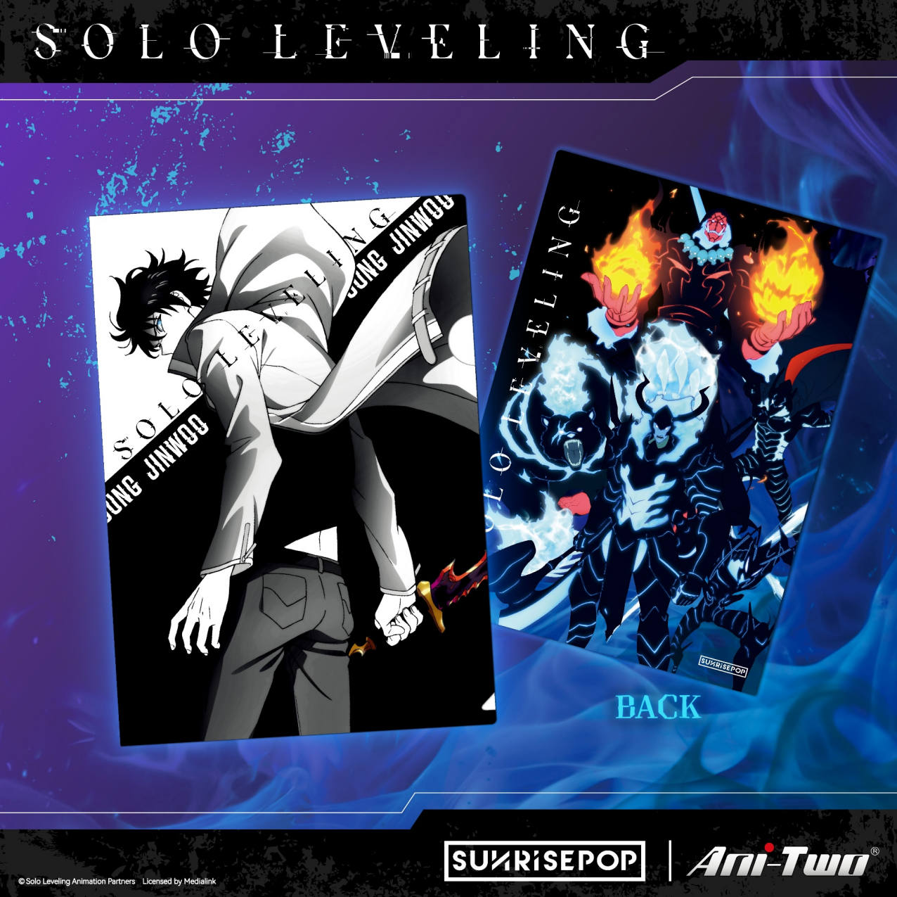 Sunrisepop A4 Folder Stationery (Solo Leveling)