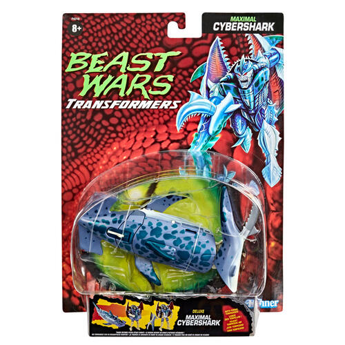 (Transformers)