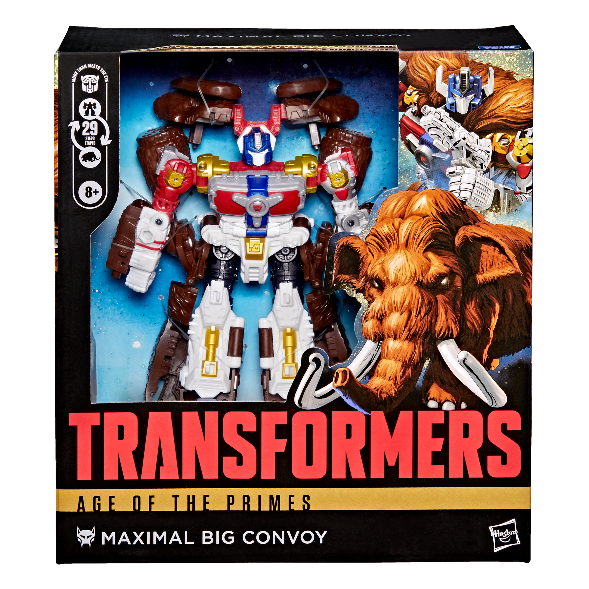 (Transformers)