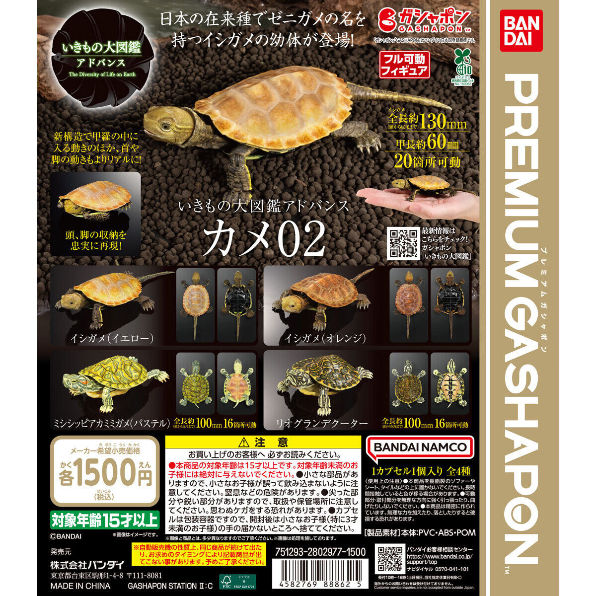 The Diversity of Life on Earth Advance Turtle 02 Blind Box (1 of 4 Types)
